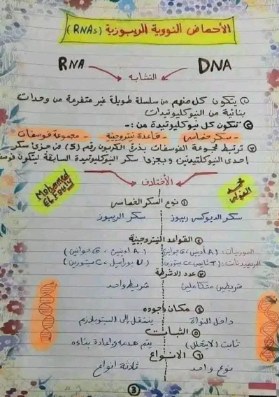 ملخص احياء8